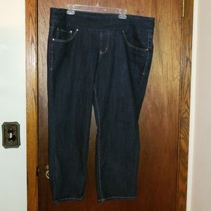 Plus sized wide waist jeans. Very comfy